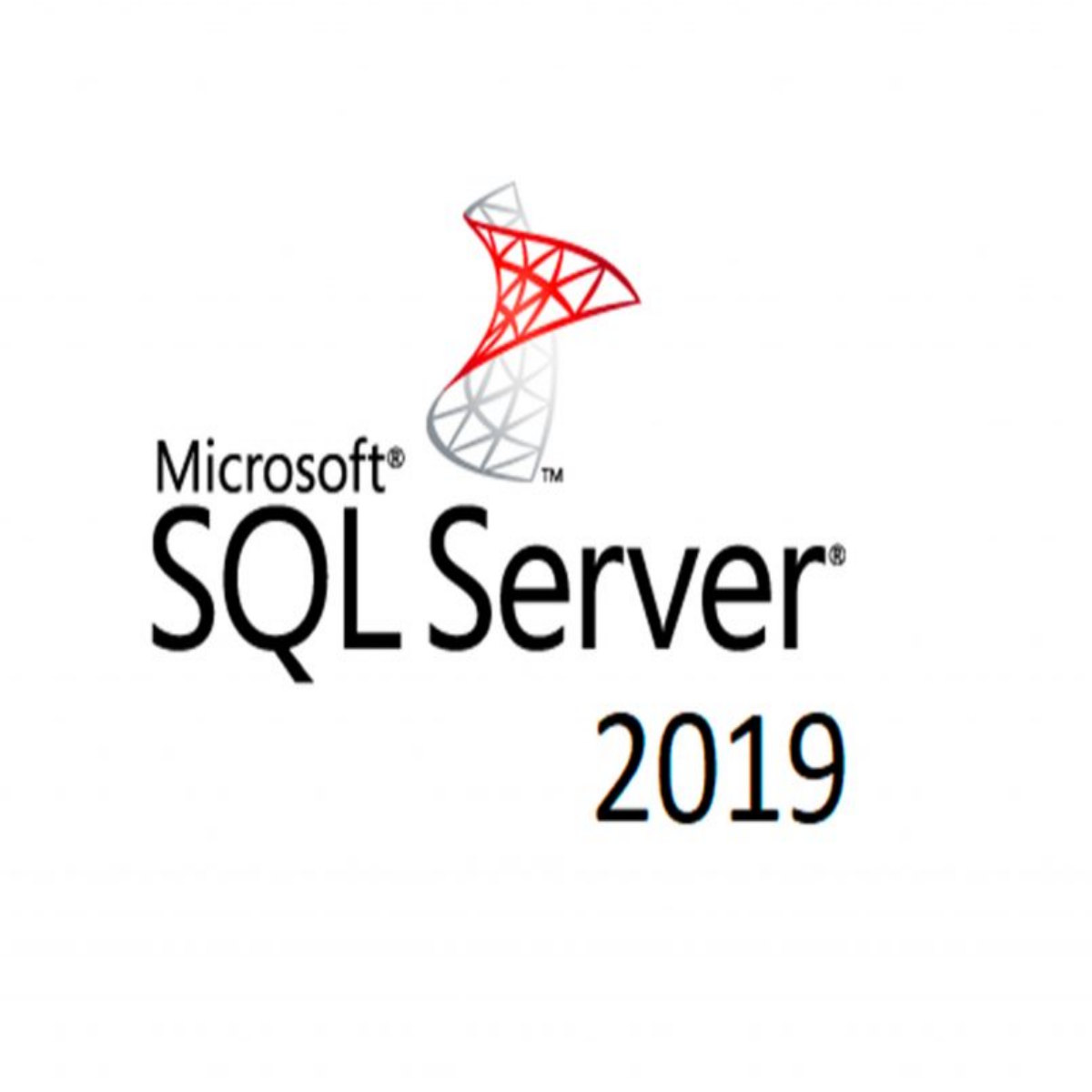 SQL Server Standard 2019 and  digital license for business database server