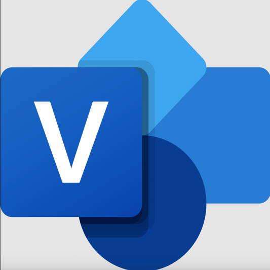 Microsoft Visio Professional 2016 2019 2021 2024 Lifetime Digital Download