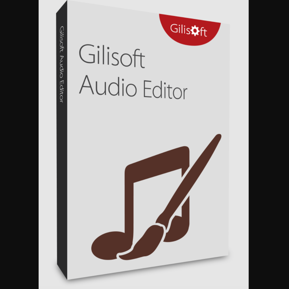 GiliSoft Audio Editor Lifetime License Digital Download