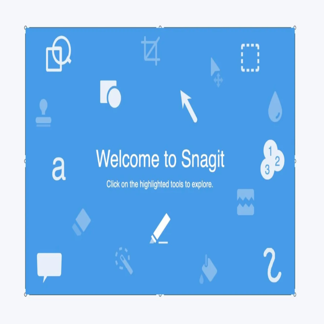 TechSmith Snagit 2020 Lifetime License Screen Capture Software