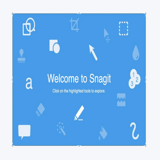 TechSmith Snagit 2020 Lifetime License Screen Capture Software