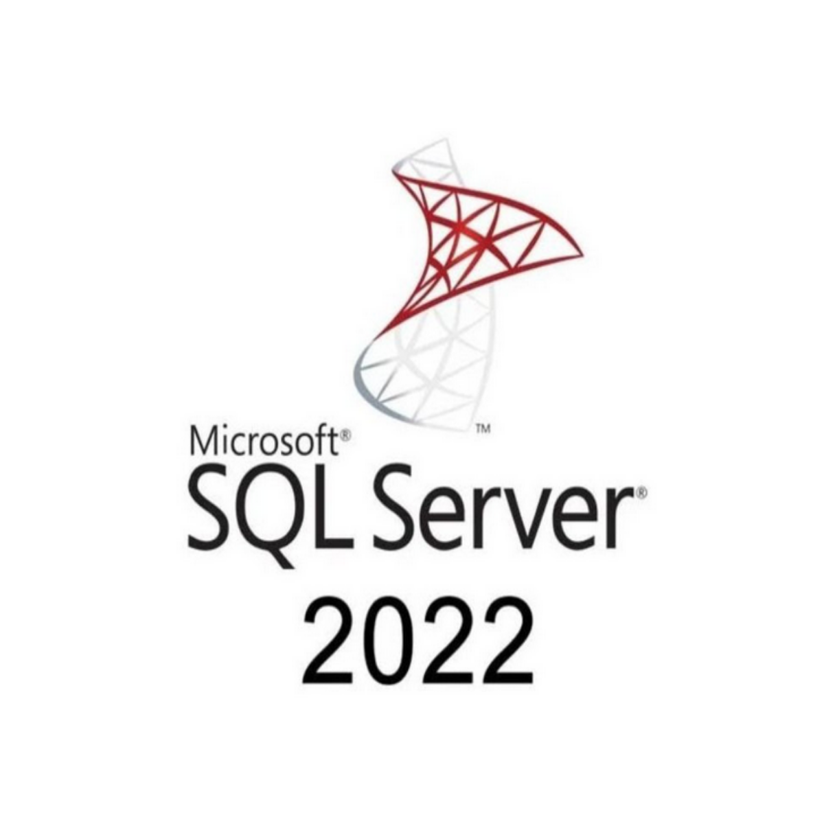SQL Server Standard 2022 digital license for business