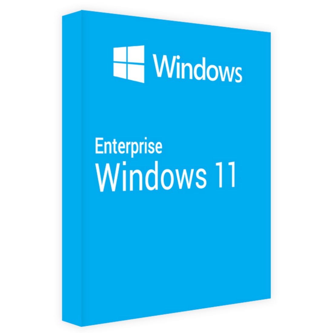 Windows Enterprise digital license download for Windows 11 Enterprise.